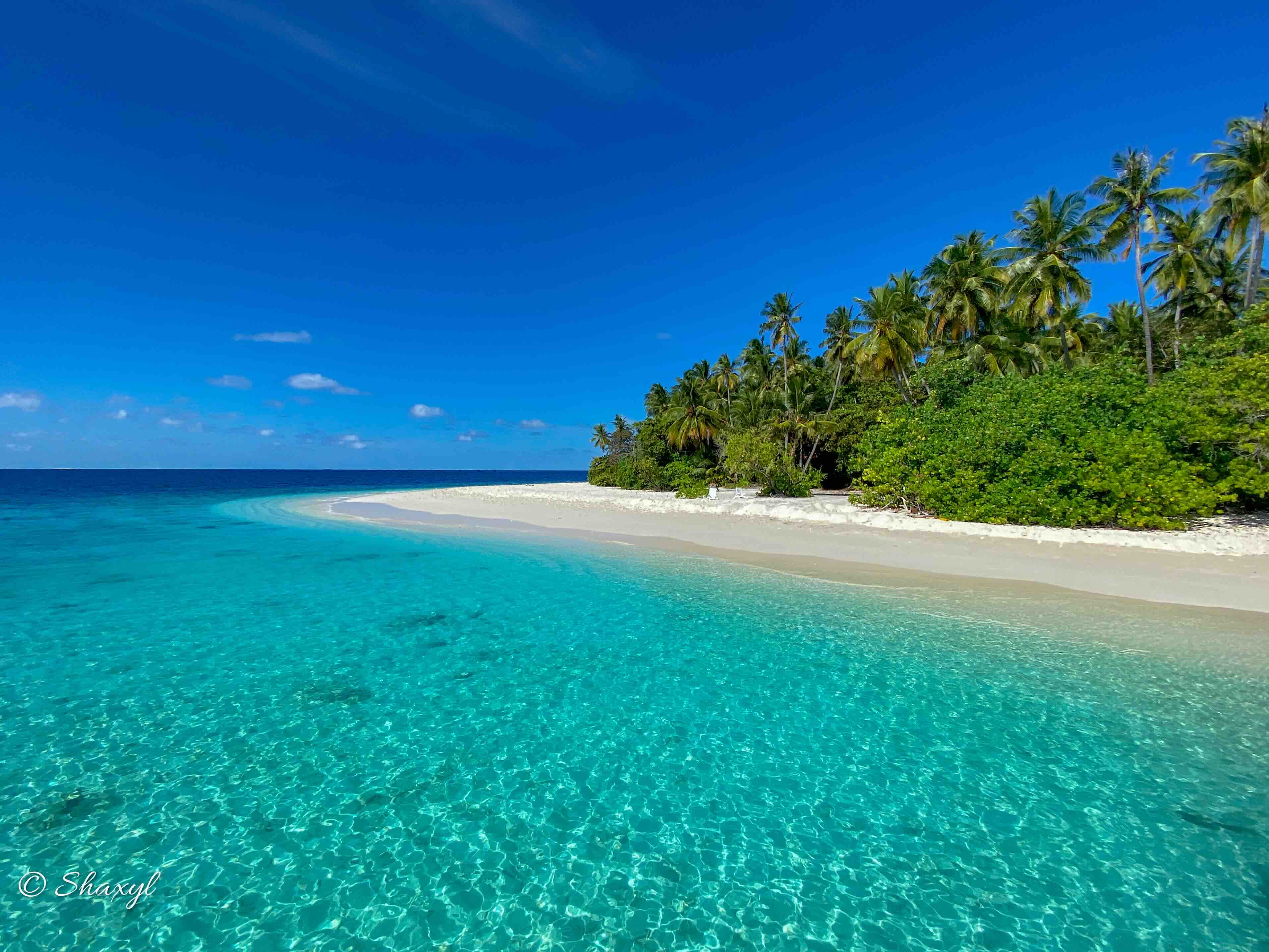 Maldive