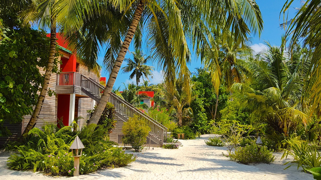 Maldive