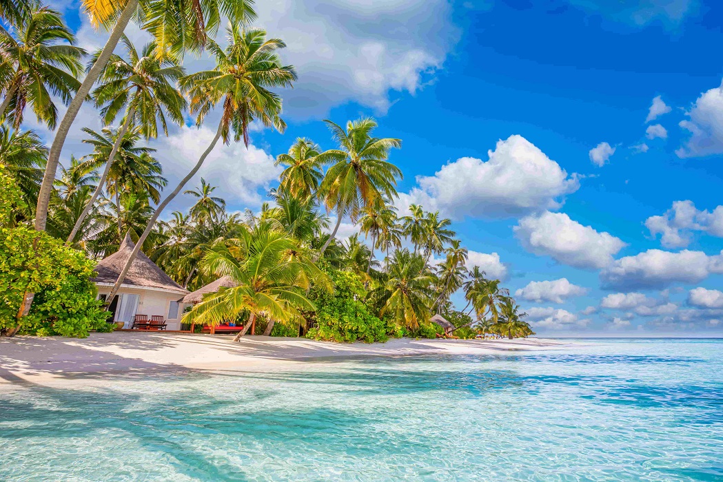 Maldive